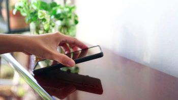 Image 2-17-25 at 7.53 AM